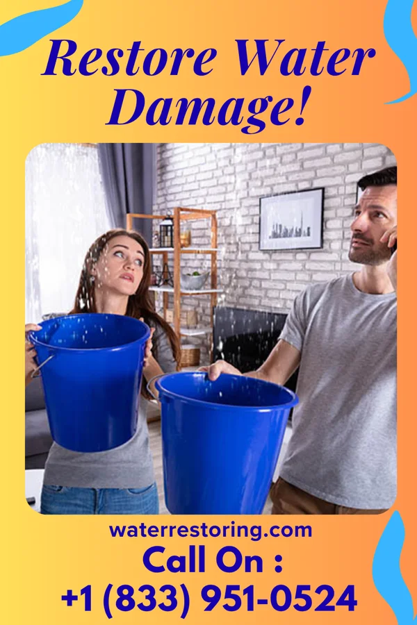 water restoration Premier Sewage Cleanup Experts Unionville