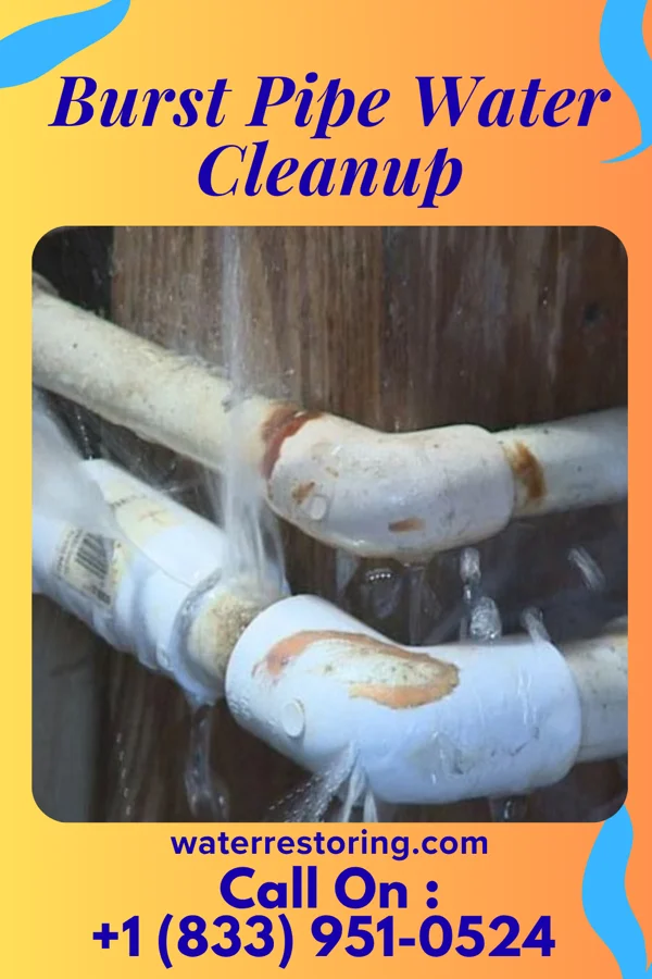 Burst Pipe Water Cleanup in Unionville, PA