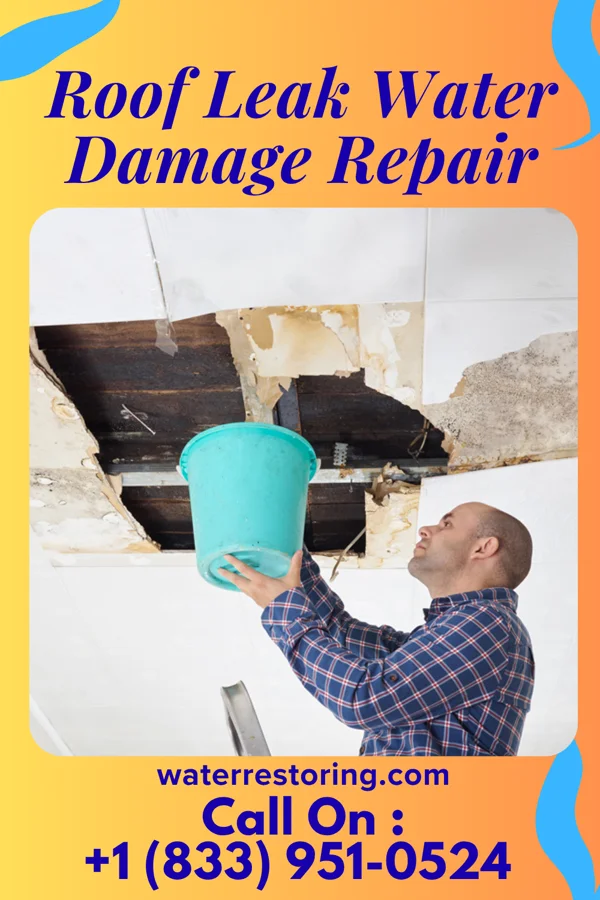 Roof Leak Water Damage Repair in Unionville, PA
