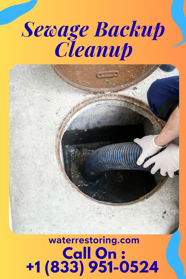 Sewage Backup Cleanup in Unionville, PA